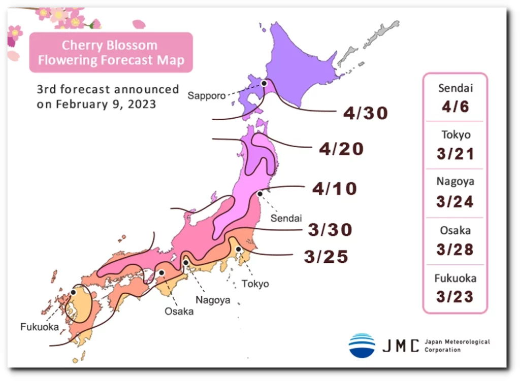 일본 벚꽃 개화시기 2023