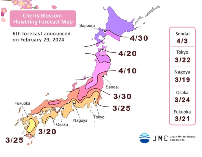일본 벚꽃 개화시기 2024